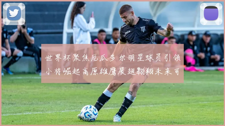 世界杯聚焦厄瓜多尔明星球员引领小将崛起高原雄鹰展翅翱翔未来可期